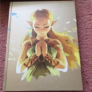 BOTW book